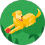 CoPP Dog Network