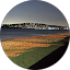 Tony Diamante